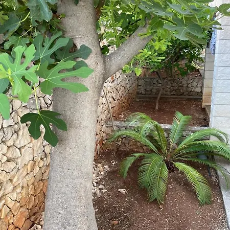 Luxury Sycamore 4* *