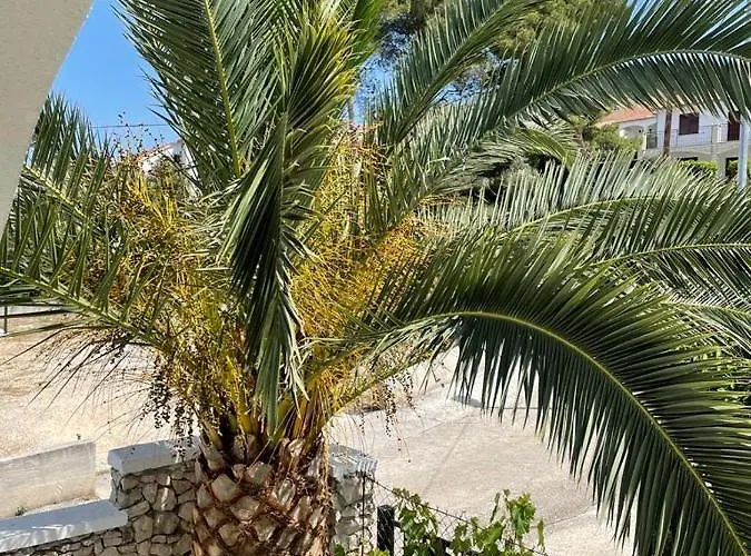 Apartment Luxury Sycamore 4* Trogir